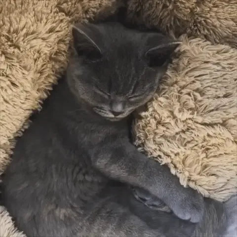 Cat Bed - DroppLux