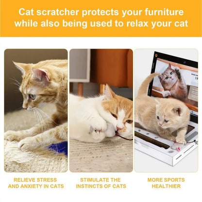 Cat Scratching Board Laptop - DroppLux