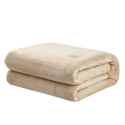 Thermal Soft Sleep Warming Winter Fleece Electric Heating Blanket - DroppLux